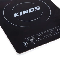 Portable Induction Cooker