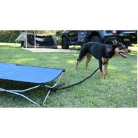 Folding Pet Bed