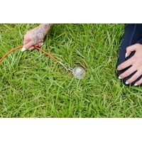 GroundGrabba Grounded Paws Tie Down Kit - 5m 