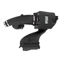 EcoBoost Quantum Cold Air Intake System w/ Pro DRY S Filter (F-150 15-24)