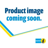 19-22 Mercedes-Benz Sprinter 2500/3500/3500XD Suspension Strut Assembly - Front