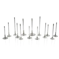 Chevrolet LT1 Gen 5 1.6in 0.313in 5.2in 24 Deg S-Flo Rad Grv Super Alloy Exh Valve - Set of 8