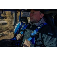 4.2 Harness Blue