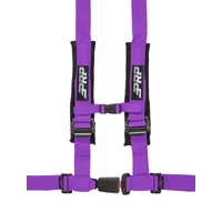 4.2 Harness Purple