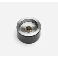 Piston - 1.62in x .88in SS