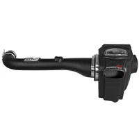 Momentum GT PRO DRY S Stage-2 Intake System (Xterra 05-15)