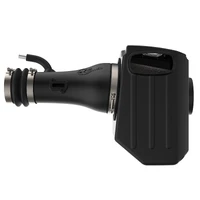 Momentum GT Pro DRY S Cold Air Intake System (Titan 17-18)
