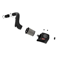 Takeda Momentum Pro DRY S Cold Air Intake System (Veloster 13-17)