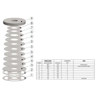 Shock Absorber Shim Stack (300 Rebound Pack) (Pack)