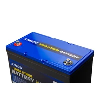 12V 100Ah Deep Cycle Lithium LiFePO4 Battery 