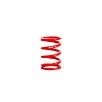 ERS 5.00 in. Length x 2.00 in. ID Coil-Over Spring