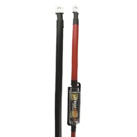 000AWG Inverter Cable 250A Fuse