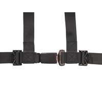 4.2 Harness Purple