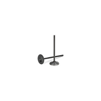 Audi/VW 2.0T FSI 16V Black Nitrided Intake Valve - Set of 8