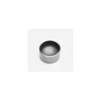 Piston - 1.62in x .88in SS