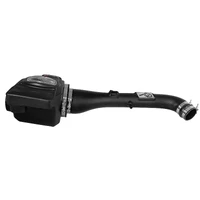 Momentum GT PRO DRY S Stage-2 Intake System (Xterra 05-15)