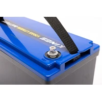 12V 120Ah Deep Cycle Lithium LiFePO4 Battery 