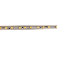 5 Bar Camp Light Kit