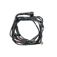 Rear Lighting Wiring Harness 