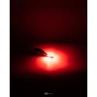 T10 CANBUS LED Bulb