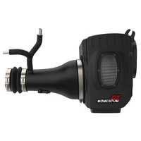 Momentum GT Pro DRY S Cold Air Intake System (Titan 17-18)