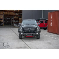 King series bull bar (Cannon Alpha 24+)