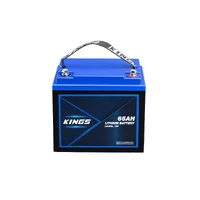 12V 65Ah Deep Cycle Lithium LiFePO4 Battery 