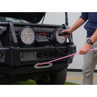 Pink Domin8r Xtreme 12,000lb MkII Winch -  7HP Motor