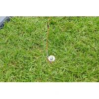 GroundGrabba Grounded Paws Tie Down Kit - 5m 