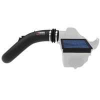 Super Stock Induction System Pro 5R Media (F-150 15-20)