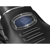 Momentum GT Pro 5R Intake System EcoBoost (F-150 16)