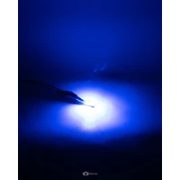 T10 CANBUS LED Bulb