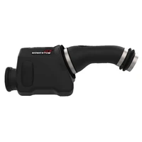 Momentum GT Cold Air Intake Pro 5R (GX 460 10-18)