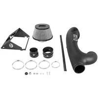 MagnumFORCE Pro DRY S Stage-2 Intake System EcoBoost (F-150 16)