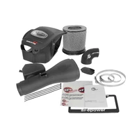 Momentum GT PRO DRY S Stage-2 Intake System (Patrol 10-15)