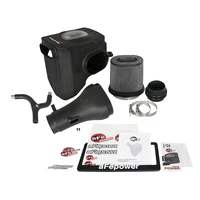 Momentum GT Pro DRY S Cold Air Intake System (Titan 17-18)
