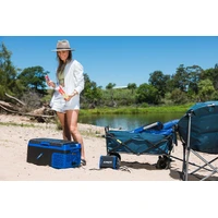 Beach & Camping Folding Cart 