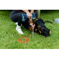 GroundGrabba Grounded Paws Tie Down Kit - 5m 
