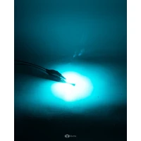 T10 CANBUS LED Bulb