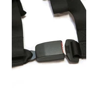 4.2 Harness Black