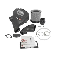 Momentum GT PRO DRY S Cold Air Intake System (Patrol 01-16)