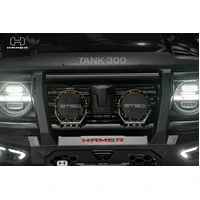 Atlas series Plus bull bar (Tank 300 23+)