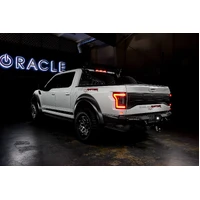 15-20 Ford F-150 Reverse LED Modules Flush Tail Light - Standard Red