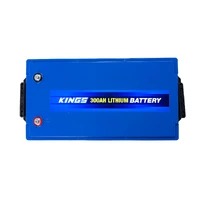 12V 300Ah Deep Cycle Lithium LiFePO4 Battery 