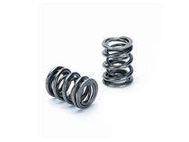 Supertech Honda B16A/B17A/B18C Dual Valve Spring - Set of 16 thumbnail 2