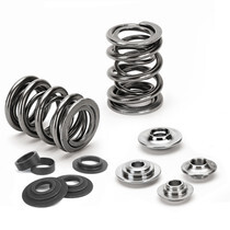 Supertech Honda B-Series Dual Valve Spring Kit (Set of 16) thumbnail 2