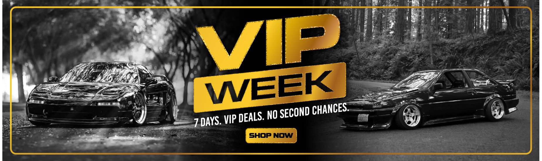 VIP WEEK