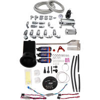 Module with DW420 Pumps + PTFE Plumbing Kit (Silvia 94-02)