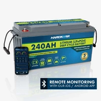 Power 240Ah Lifepo4 Deep Cycle Lithium Battery with Bluetooth