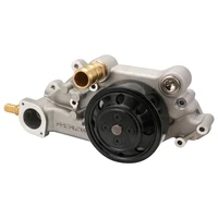 Performance Water Pump, CoolMax, Mechanical, High-Volume, For LS Holden/Chevrolet, Aluminium, Natural